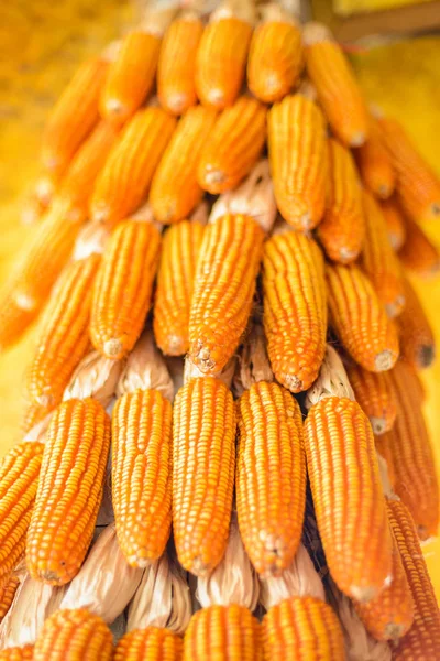 Kurutulmuş mısırlar endüstride daha fazla işlem yapılmadan kurumaya bırakılır..