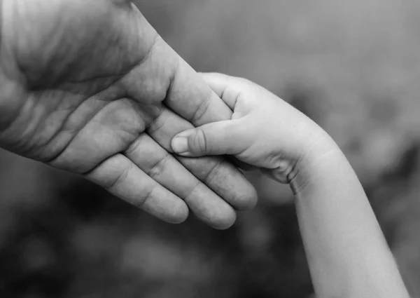 Black and white image of the child's hand holds the father's hand tightly to stabilize himself.