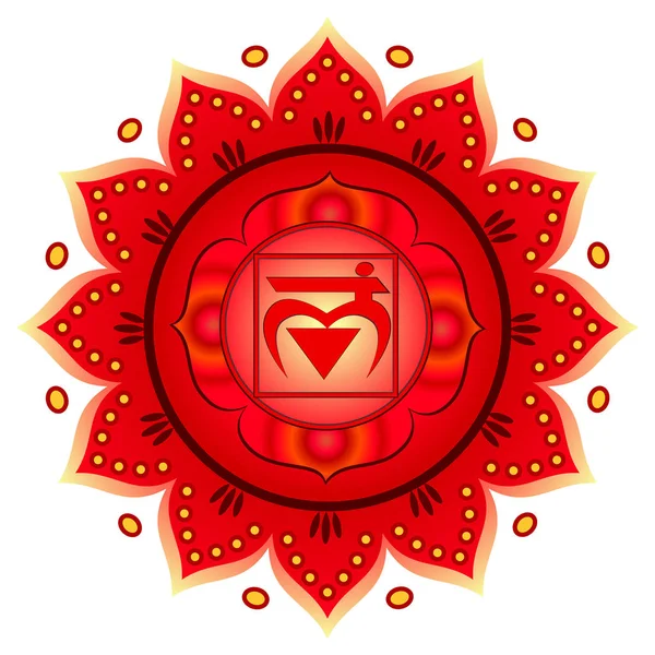 Daire mandala desen. Muladhara çakra vektör çizim.