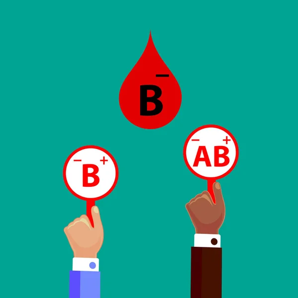 Doação de Compatibilidade de Sangue. Sangue B negativo. Design plano Vector Ilustração . — Vetor de Stock