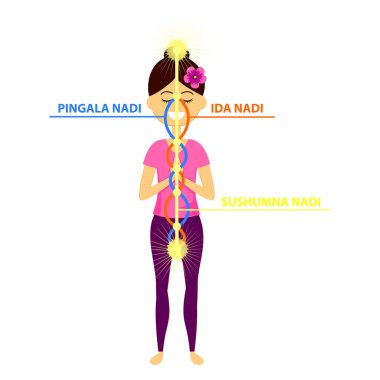 Yoga pozisyonunda duran güzel kadın karakterinin vektör çizimi. Üç ana nadis: ida, pingala ve sushumna.. 