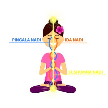 Yoga pozisyonunda oturan güzel kadın karakterinin vektör çizimi. Üç ana nadis: ida, pingala ve sushumna. Enerji kanalları.