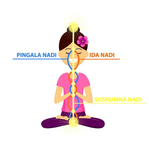 Yoga pozisyonunda oturan güzel kadın karakterinin vektör çizimi. Üç ana nadis: ida, pingala ve sushumna. Enerji kanalları.