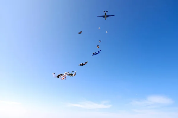 Les Parachutistes Viennent Sauter Avion — Photo