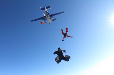 Skydivers mavi gökyüzüne doğru bir uçaktan atlama vardır.