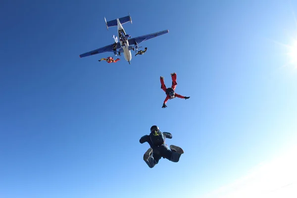 Les Parachutistes Sautent Avion Dans Ciel Bleu — Photo