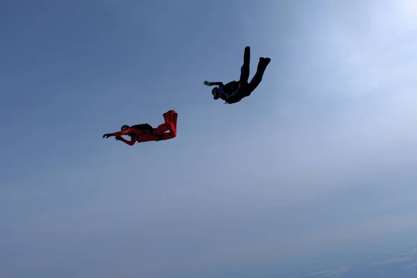 Fallskärmshoppning Två Fallskärmshoppare Utbildning Och Flyger Himlen — Stockfoto
