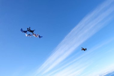 Formasyon paraşütle atlama. Skydivers eğitim ve inanılmaz gökyüzünde uçan.