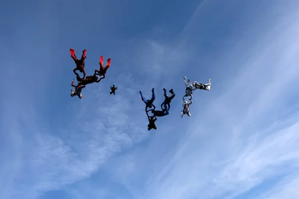 编队跳跃 一群跳伞者在天空中 — 图库照片