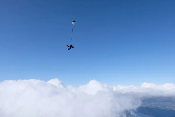 Skydiving. Tandem jump above whete clouds. Long shot.
