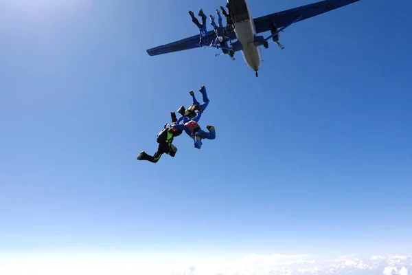 스카이다이빙 무리의 스카이다이버들 하늘에서 훈련하고 있습니다 — 스톡 사진