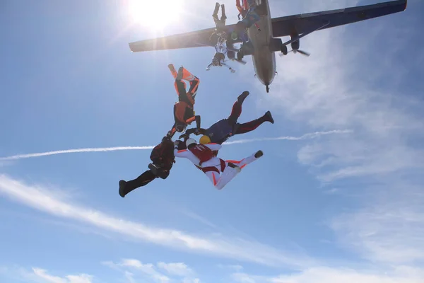 Formazione Paracadutismo Gruppo Paracadutisti Allenano Volano Nel Cielo — Foto Stock
