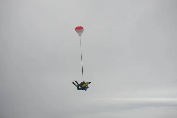 Skydiving. Tandem jump is in the cloudy sky.