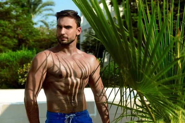 beautiful man standing next to palm tree leaves with sexy shadows. attractive Model with muscular body poses next to palm. Strong male with sexy look and hot torso