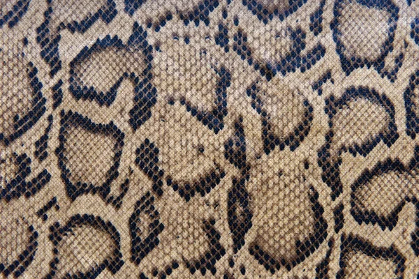 Seamless pattern of snake skin