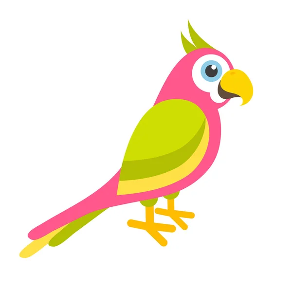 Милый красочный попугай — стоковый вектор
