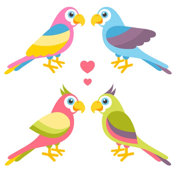 Parejas de dibujos animados loros coloridos en el amor — Vector de stock