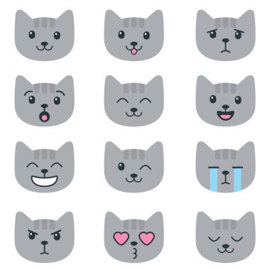 Gri kedi üzerinde beyaz izole farklı duygularla