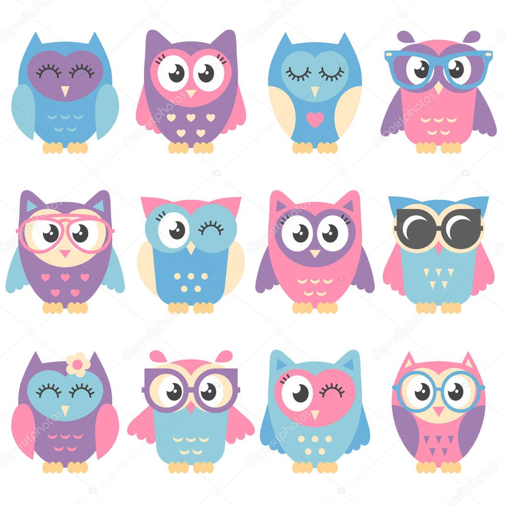 Icons of cute colorful owls isolated on white