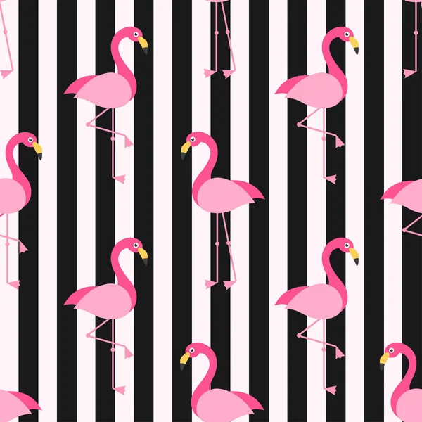 Vzorek s Flamingo ptáky na pozadí s černými pruhy — Stockový vektor
