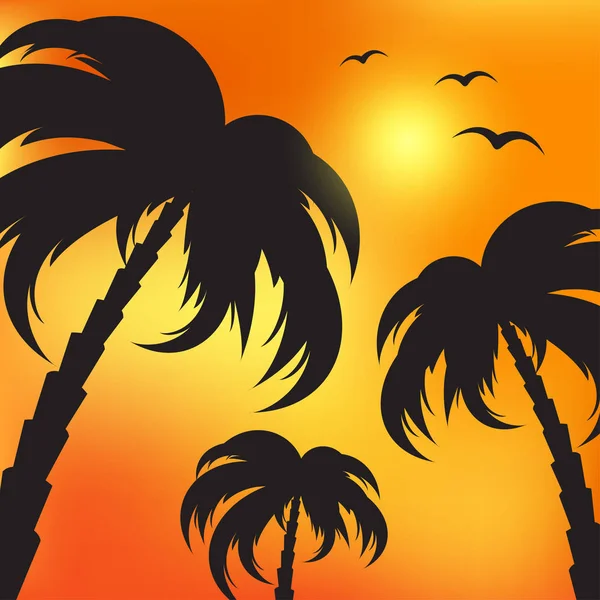 Illustrazione delle sagome delle palme e del cielo serale — Vettoriale Stock