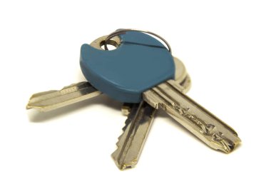 Beyaz arka plan üzerinde izole tuşları Derma kapılar.