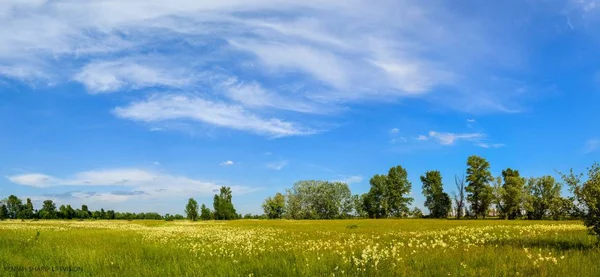 Panorama Pogreby Villaggio Vicino Kiev Città Ucraina — Foto Stock