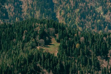 Akşam gökyüzü bulutlu güneş ışığı altında dağ orman manzarası.