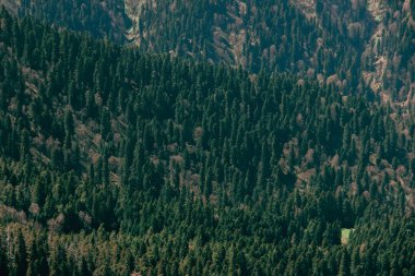 Akşam gökyüzü bulutlu güneş ışığı altında dağ orman manzarası.