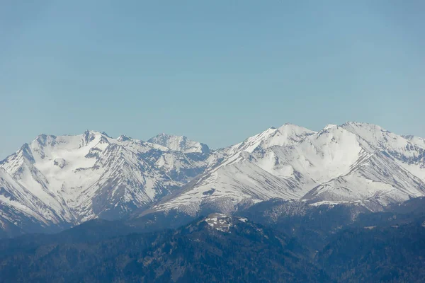 雪的山峰 高加索地区 主要高加索岭 — 图库照片