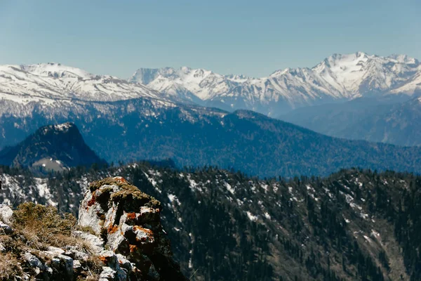 Herbstlandschaft Der Kaukasusberge Schnee Auf Dem Berg Urwald Und Schneebedeckte — Stockfoto