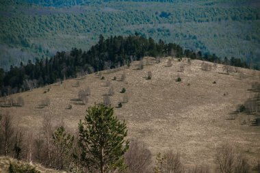 Akşam gökyüzü bulutlu güneş ışığı altında dağ orman manzarası.