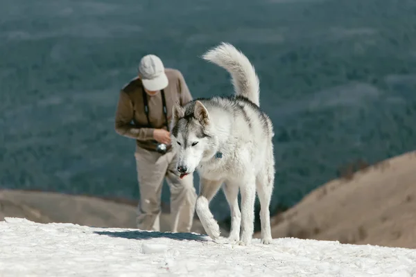 Τουρίστες Ανεβαίνουν Στην Κορυφή Της Οροσειράς Του Καυκάσου Thach — Φωτογραφία Αρχείου