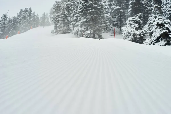 Slope View Skis Mountain Panorama Alps — Stock Photo, Image