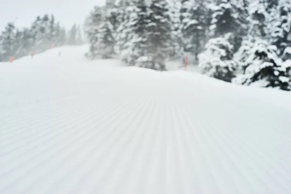 New Snowy Road Snowboarding Skiers — Stock Photo, Image