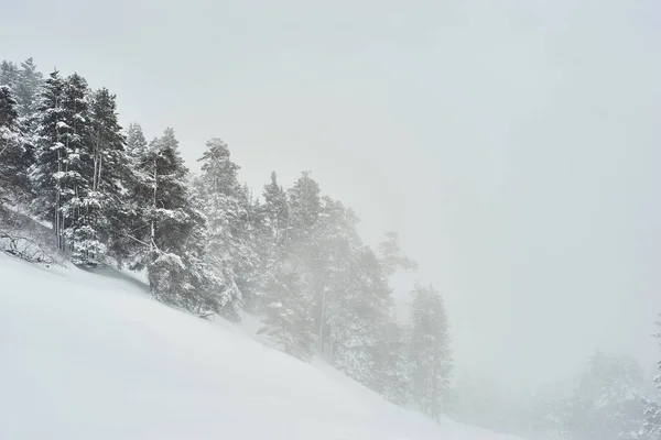 Vista Ladera Esquís Panorámica Montaña Alpes — Foto de Stock