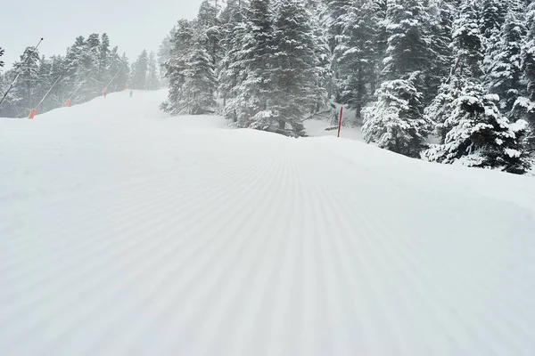 New Snowy Road Snowboarding Skiers — Stock Photo, Image