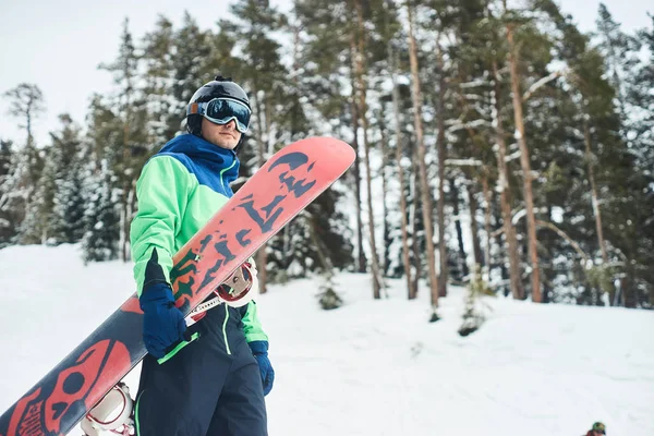 View Sportsman Snowboard Standing Forest — Stock Photo, Image