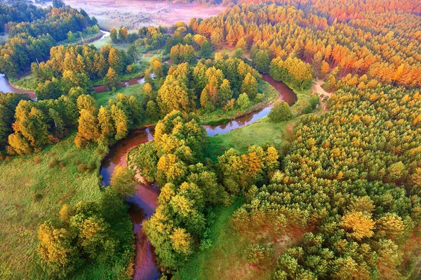 the meandering River forest view from a height
