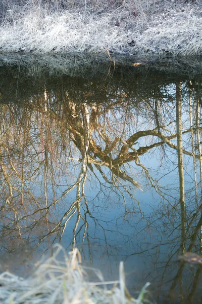 その銀行は霧氷で覆われている川の木の反射 — ストック写真