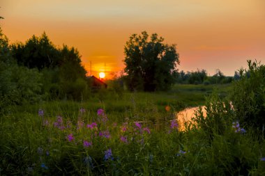 Büyük, sarı Temmuz Güneş ufukta kilitleniyor
