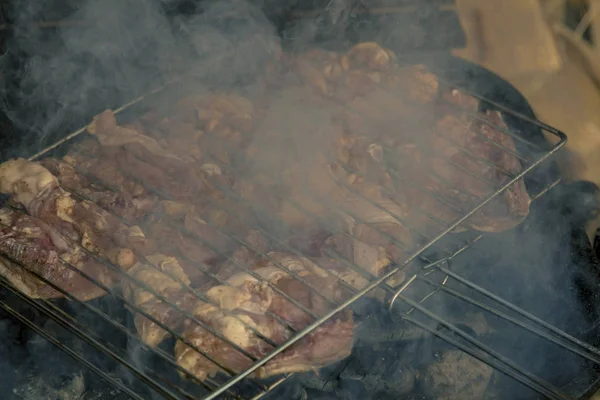 Bistecche Pollo Fresco Cotte Carbone Barbecue Sullo Sfondo Campi Betulla — Foto Stock