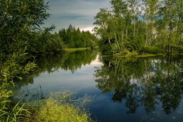 Fiume Foresta Ricoperto Fitta Vegetazione Lungo Rive — Foto Stock