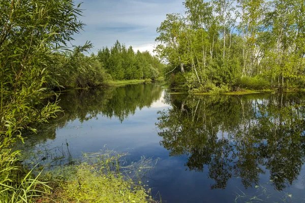 Fiume Foresta Ricoperto Fitta Vegetazione Lungo Rive — Foto Stock