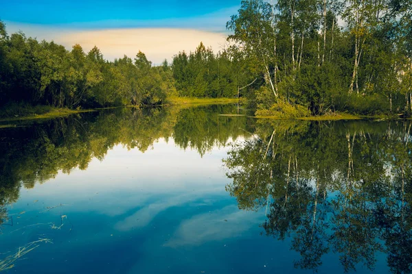 Fiume Foresta Con Sponde Una Piccola Foresta Latifoglie All Inizio — Foto Stock