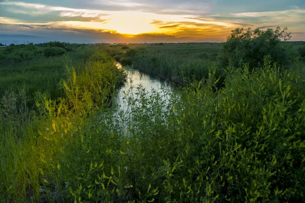 Geel Oranje Zonsondergang Tegen Achtergrond Van Een Donker Blauwe Hemel — Stockfoto