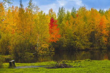 Orman gölü çimen, küçük yaprak döken orman ve sarı-kırmızı sonbahar renklerinde çalılarla kaplıydı.