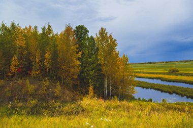 Kurumuş bir nehir taşkın yatağının üzerinde sert sarı ve kırmızı yaprakları ile karışık orman aittir