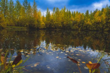 Orman gölü çimen, küçük yaprak döken orman ve sarı-kırmızı sonbahar renklerinde çalılarla kaplıydı.
