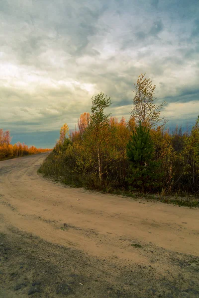 Landsvägen Bevuxen Med Små Trä Gör Sväng — Stockfoto